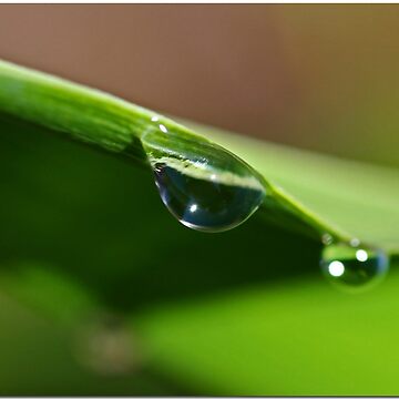 Artwork thumbnail, Drip Drop by Chet  King