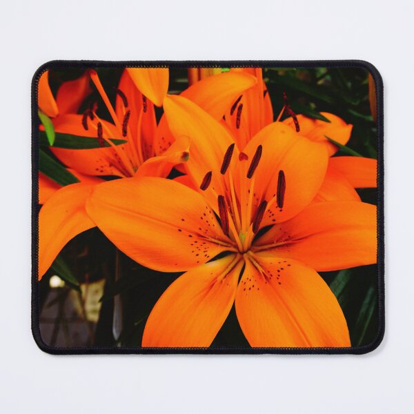Item preview, Ditch Lilly designed and sold by corichard.