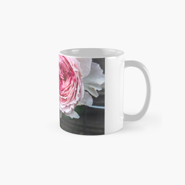 Aperçu de l'œuvre Rose anglaise James Galway créée et vendue par FloraVision.