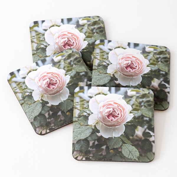 Item preview, Beautiful white rose photo  designed and sold by FloraVision.