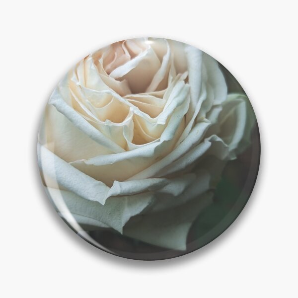 Item preview, Picture of a rose with a matte finish  designed and sold by FloraVision.