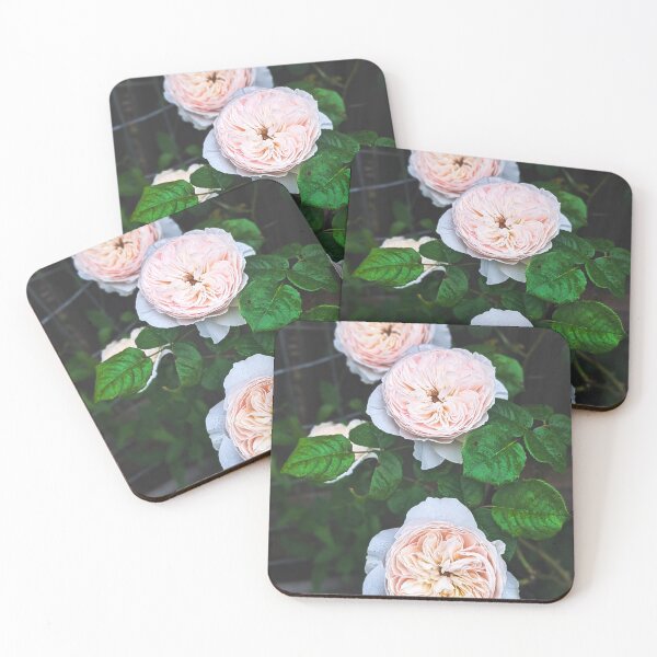 Item preview, Beautiful picture of orange roses  designed and sold by FloraVision.