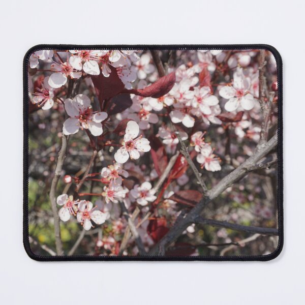 Item preview, Cherry Plum flower designed and sold by corichard.