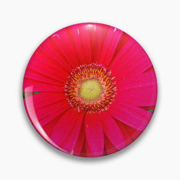 Item preview, African Daisy designed and sold by corichard.