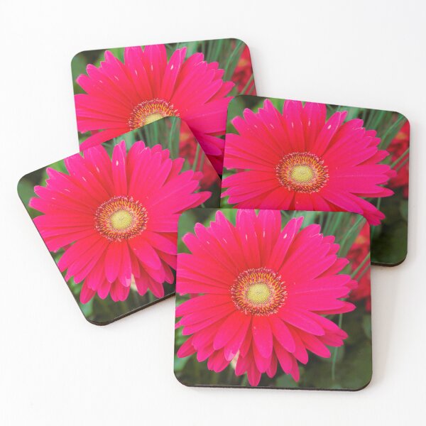 Item preview, African Daisy designed and sold by corichard.