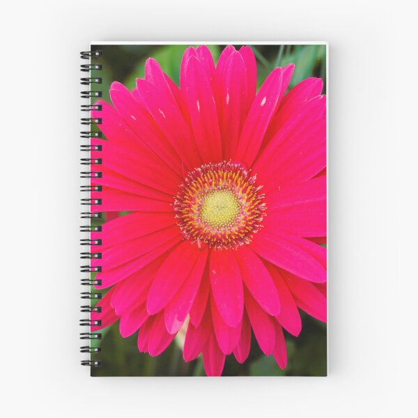 Item preview, African Daisy designed and sold by corichard.