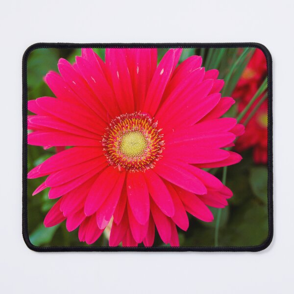 Item preview, African Daisy designed and sold by corichard.