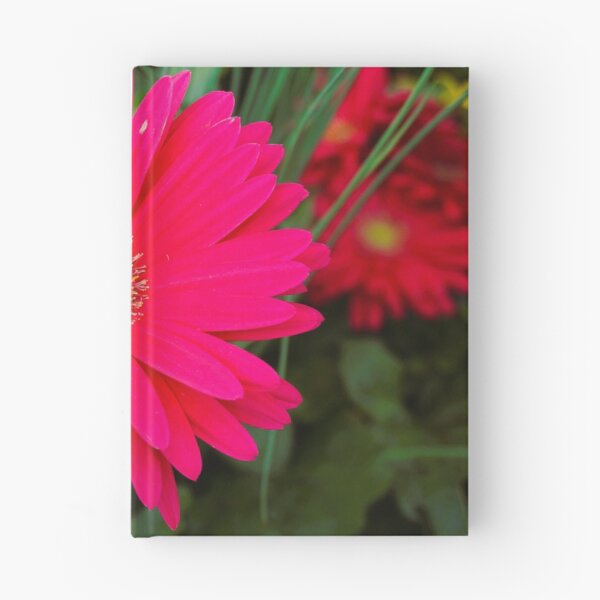 Item preview, African Daisy designed and sold by corichard.