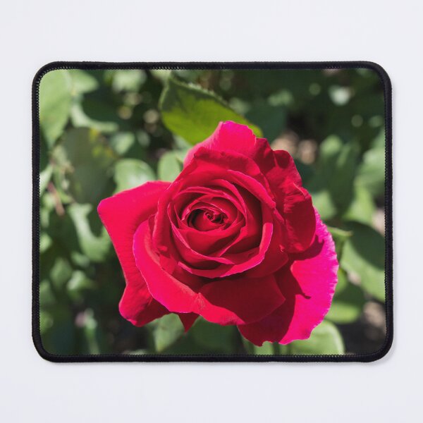 Item preview, Bold Carmine Rose with Magenta Accents designed and sold by Georgia Mizuleva.