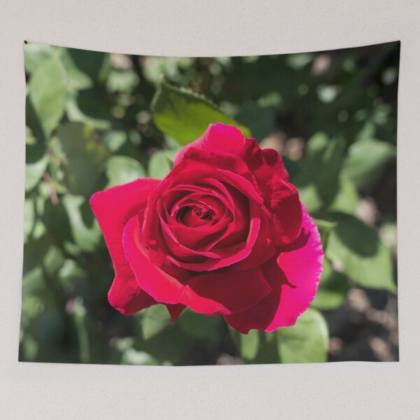 Item preview, Bold Carmine Rose with Magenta Accents designed and sold by Georgia Mizuleva.