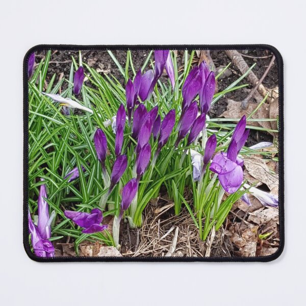 Item preview, Purple Spring Flowers Spourting designed and sold by WhiteSoftPetals.