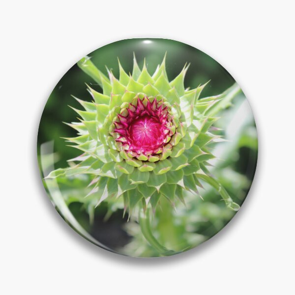 Artikelvorschau, Blumenfoto entworfen und verkauft von Kayla :).