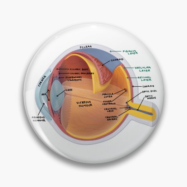 Item preview, Eye Diagram  designed and sold by Penny Lilley.