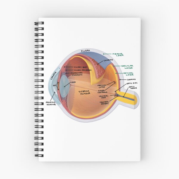 Item preview, Eye Diagram  designed and sold by Penny Lilley.