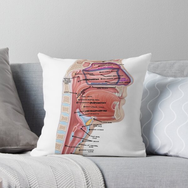 Item preview, Nasopharynx Diagram  designed and sold by Penny Lilley.