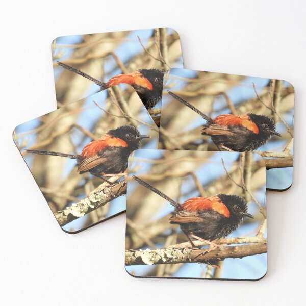 Item preview, Red-backed Fairy Wren after the rain designed and sold by Jenny  Dyer.