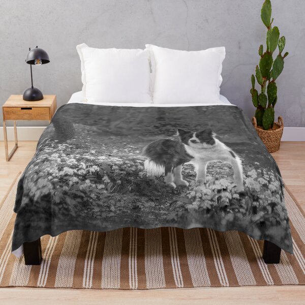 Item preview, Border Collie Memories designed and sold by Alisonchambers2.