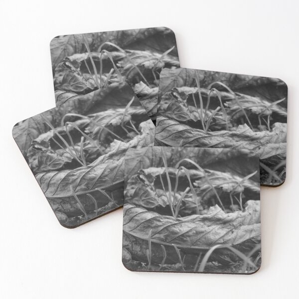 Item preview, Cemetery Leaves designed and sold by ZazaRee.