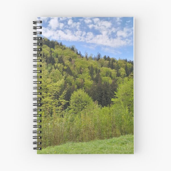 Item preview, Spring landscape  designed and sold by lusiakotowska.