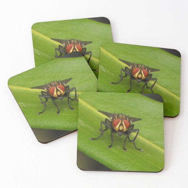 Item preview, Fly designed and sold by Jenny  Dyer.