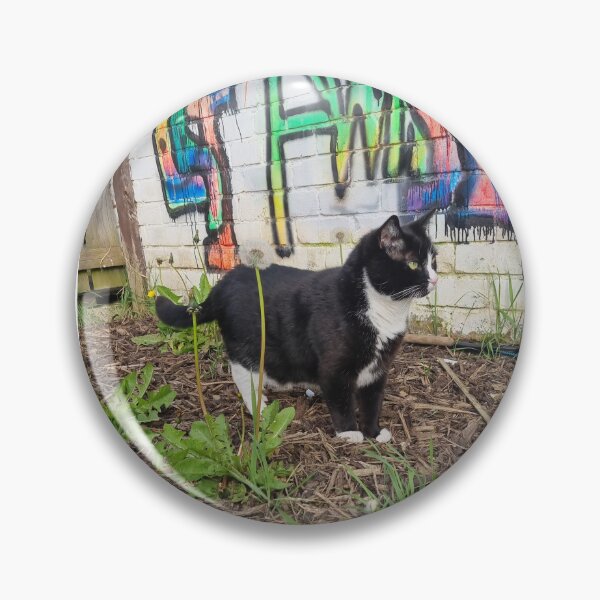 Item preview, Graffiti cat, Warpaint  designed and sold by WarPaint23.