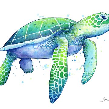 Artwork thumbnail, Green Sea Turtle by SamNagel