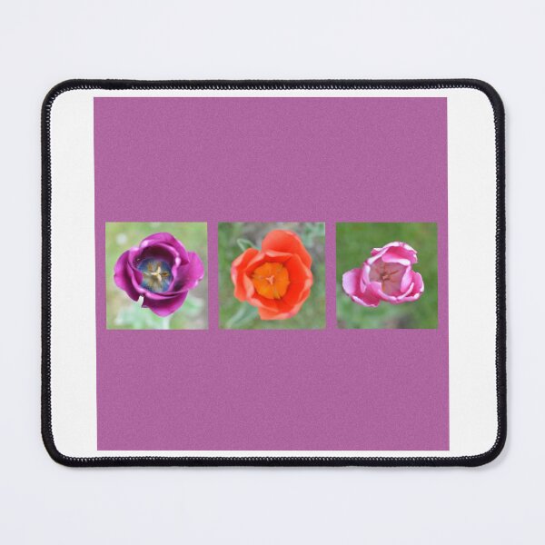 Item preview, Tulip Collage  designed and sold by Rjsmommy23.