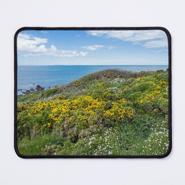 Item preview, Vibrant summer coastal colours designed and sold by twymanphoto.