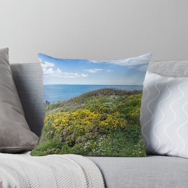 Item preview, Vibrant summer coastal colours designed and sold by twymanphoto.