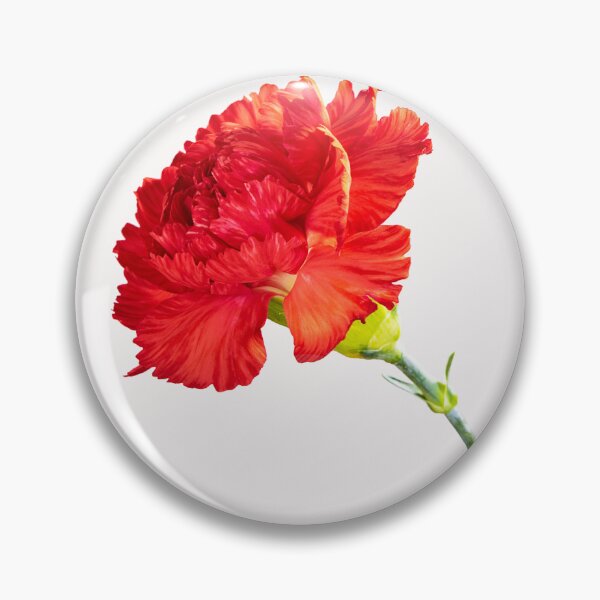 Item preview, The Carnation designed and sold by imjim.