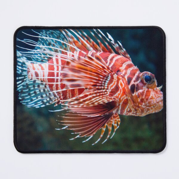 Item preview, Fish Lionfish Animal Rights T-Shirt designed and sold by FeatSky.