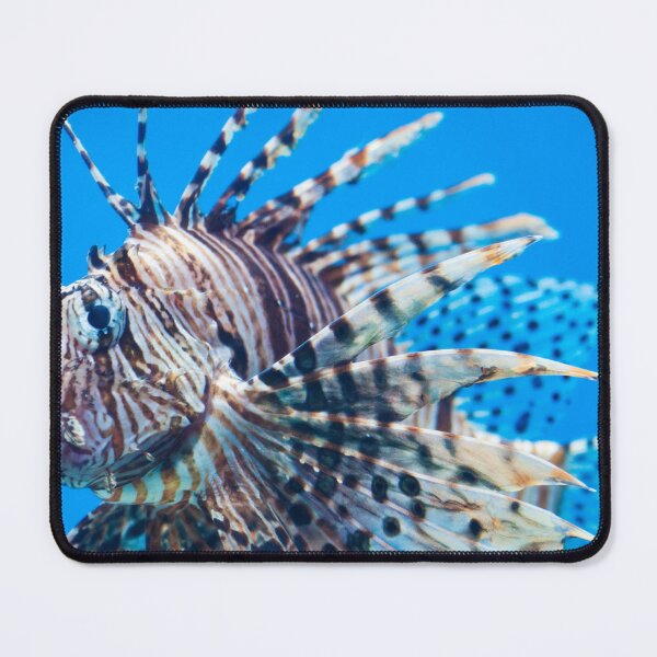 Item preview, Fish Lionfish Animal Rights T-Shirt designed and sold by FeatSky.