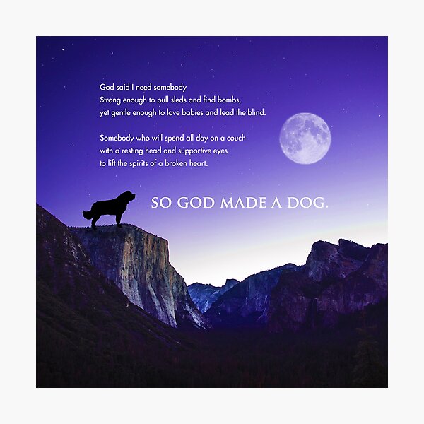 So God Made a Dog Photographic Print