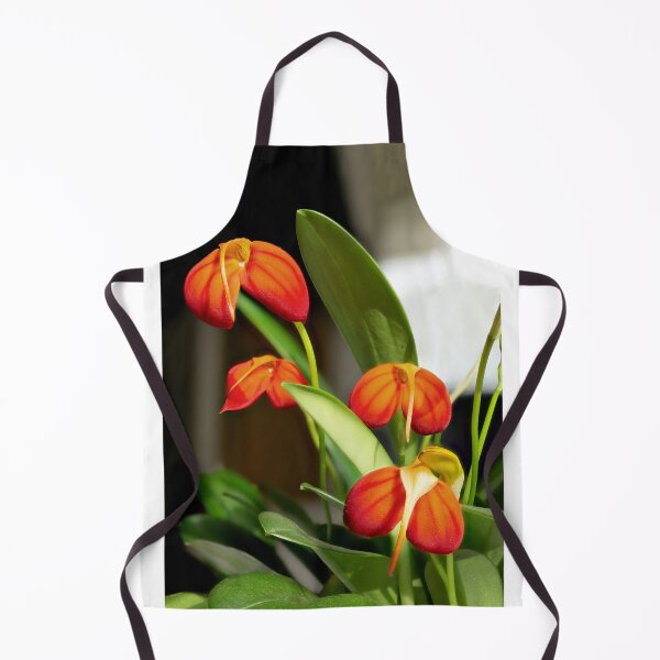 Item preview, Masdevallia ignea 02 designed and sold by Weston  Westmoreland.
