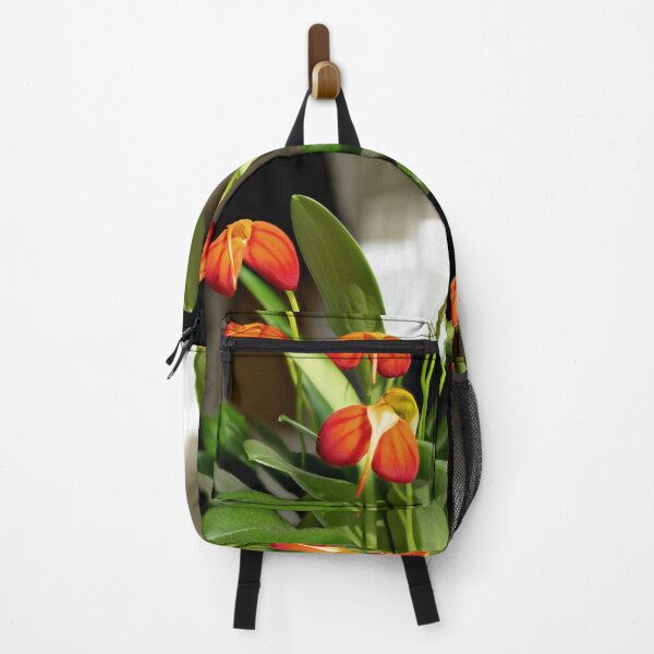 Item preview, Masdevallia ignea 02 designed and sold by Weston  Westmoreland.