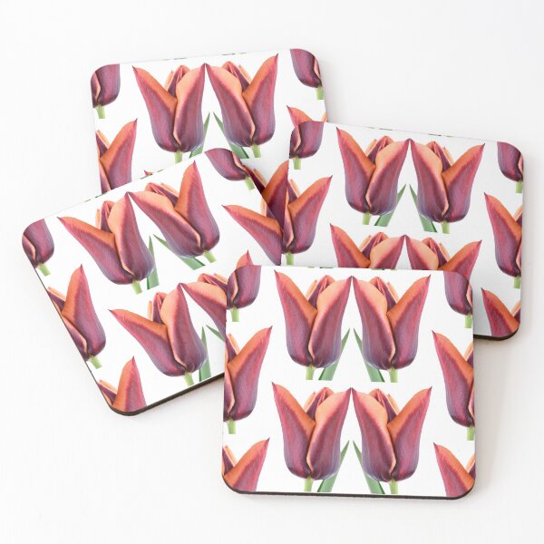 Item preview,  Tulipa 'Slawa' Triumph Tulip designed and sold by Chris Burrows.