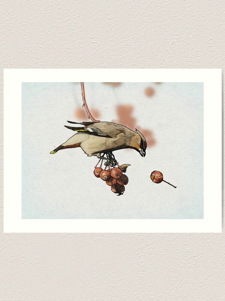 Alternate view of Cedar Waxwing Art Print