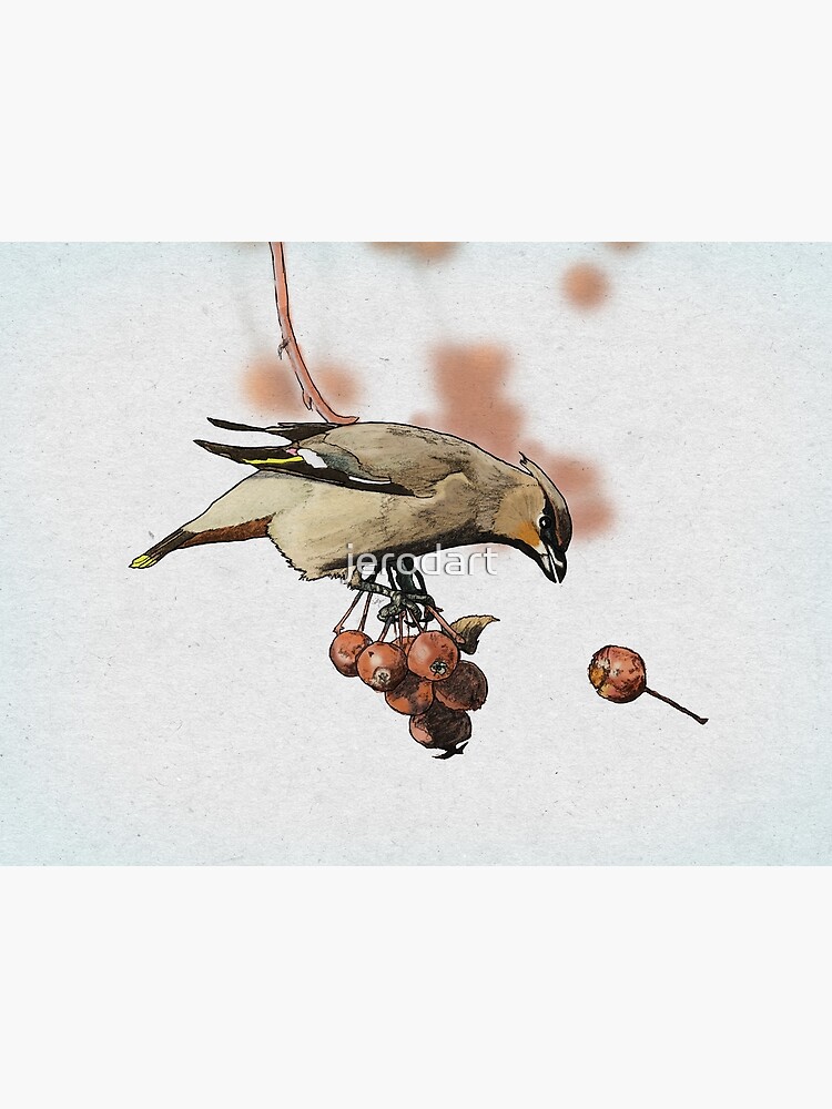Cedar Waxwing by jerodart