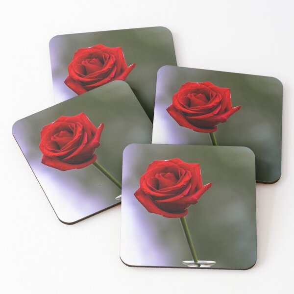 Item preview, A Single Red Rose designed and sold by Tom McPherson Photography.