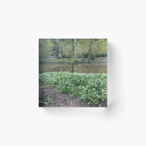 Item preview, #335 |☼| Tree Among White Flowers (Matlock Bath) designed and sold by Naean H.F. (Nez Man).