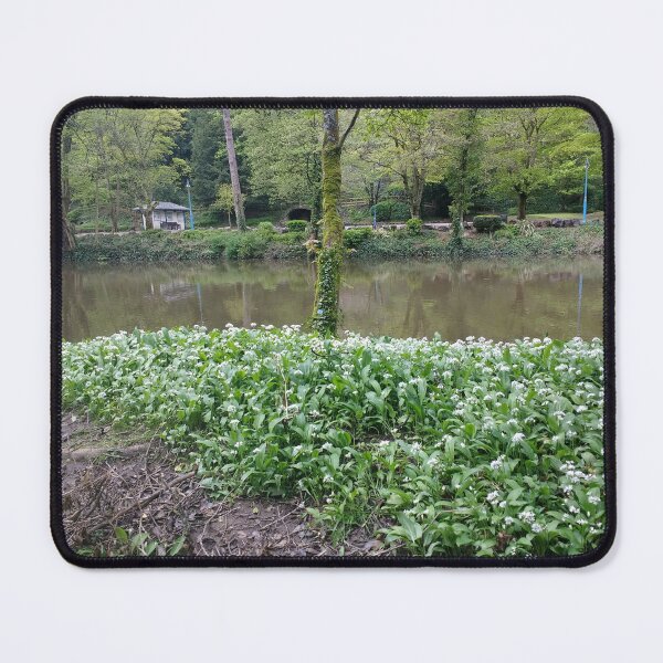 Item preview, #335 |☼| Tree Among White Flowers (Matlock Bath) designed and sold by Naean H.F. (Nez Man).