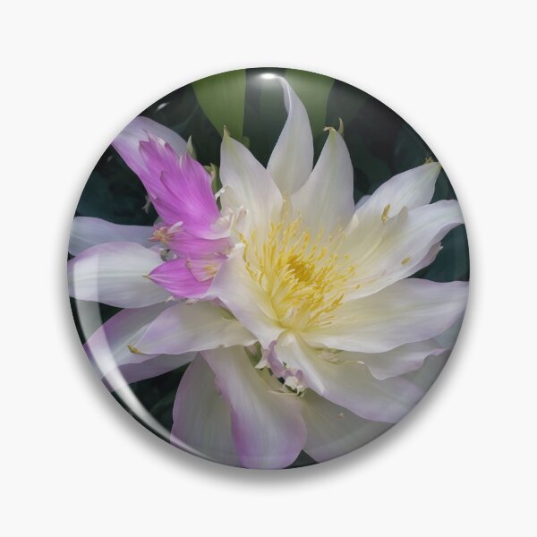 Item preview, Amazing night blooming cereus flower. designed and sold by PatDoArt.