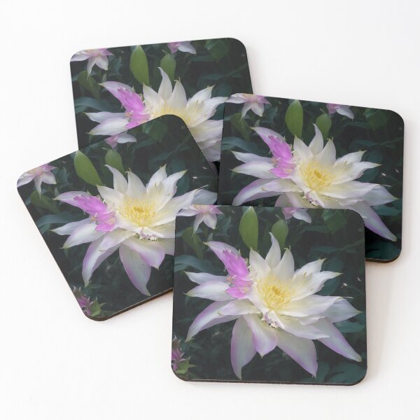 Item preview, Amazing night blooming cereus flower. designed and sold by PatDoArt.