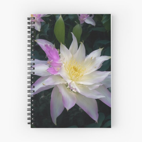 Item preview, Amazing night blooming cereus flower. designed and sold by PatDoArt.