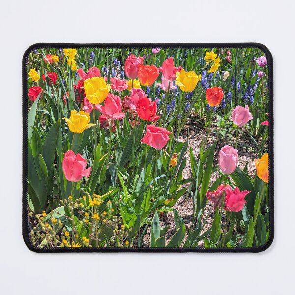 Item preview, Tulip designed and sold by Margwizart.