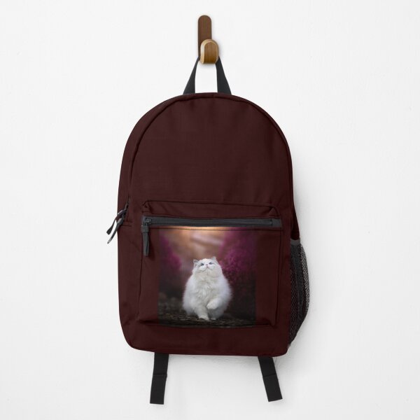Item preview, Ragdoll cat blue bicolor - Photography and Edition designed and sold by MrGreenDragon.