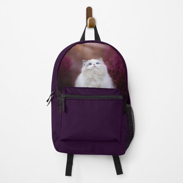 Item preview, Ragdoll cat blue bicolor - Photography and Edition designed and sold by MrGreenDragon.