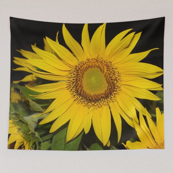 Item preview, Sunflower designed and sold by Jenny  Dyer.