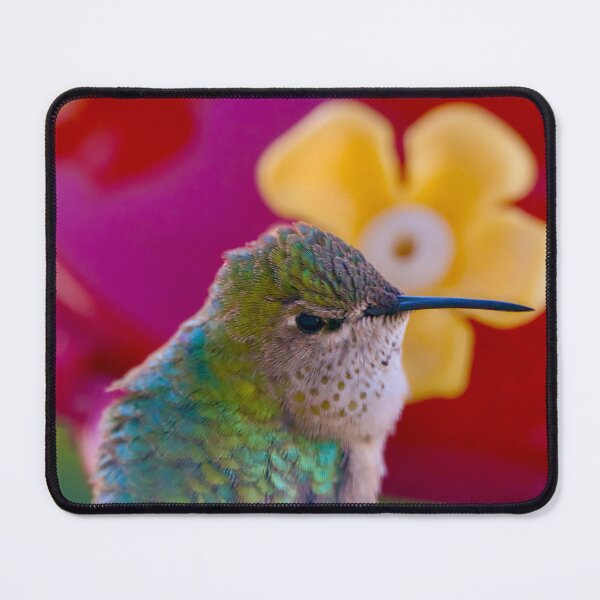 Item preview, Hummingbird at feeder designed and sold by Cblifeisgood.