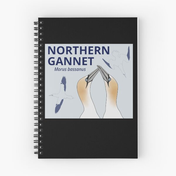 Item preview, Northern Gannets designed and sold by taylorrowan.